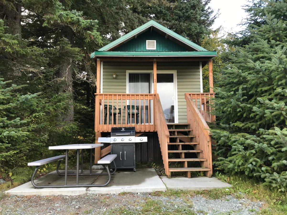 Cabin 3 Lynn View Lodge Haines Exterior photo